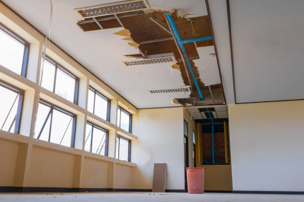 Best Water damage restoration services  in Lake Arrowhead, CA