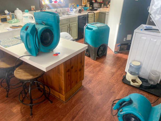  Lake Arrowhead, CA Water damage restoration Pros