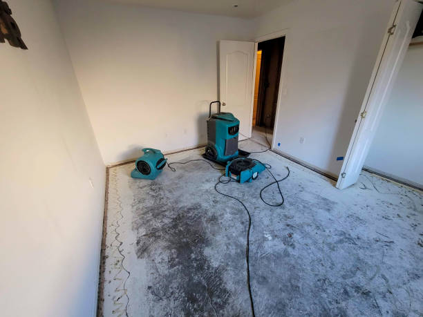 Best Water damage restoration specialists  in Lake Arrowhead, CA