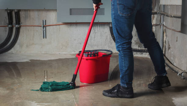 Best Sewage cleanup and water damage restoration  in Lake Arrowhead, CA