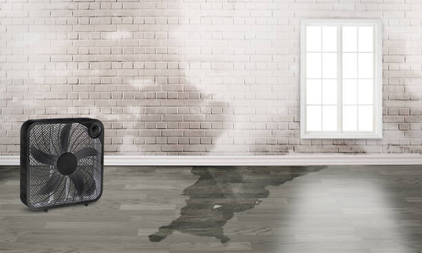 Best Flooded house restoration  in Lake Arrowhead, CA