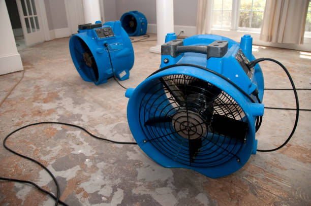 Best Carpet water damage restoration  in Lake Arrowhead, CA