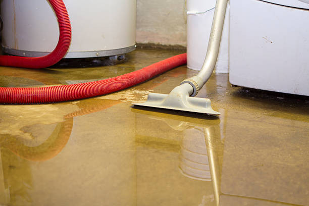 Best Flood restoration services  in Lake Arrowhead, CA