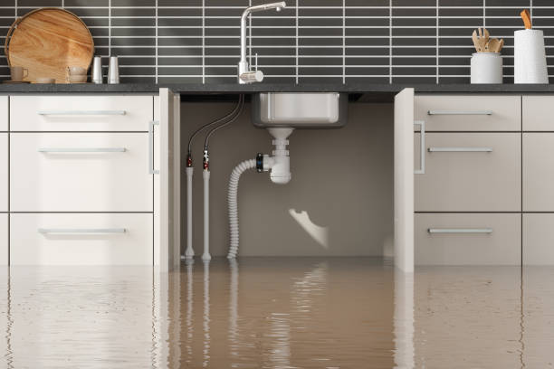 Best 24/7 water damage repair  in Lake Arrowhead, CA