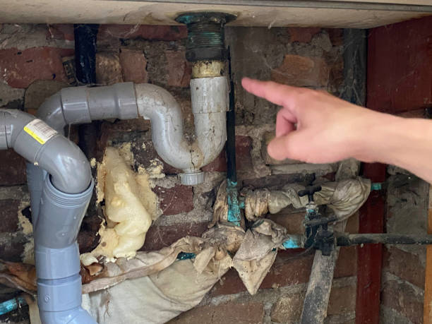 Best Water damage restoration near me  in Lake Arrowhead, CA