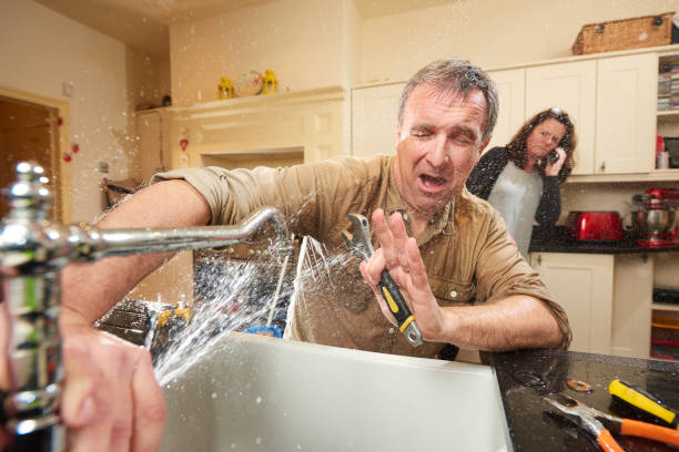 Best Water damage restoration company  in Lake Arrowhead, CA